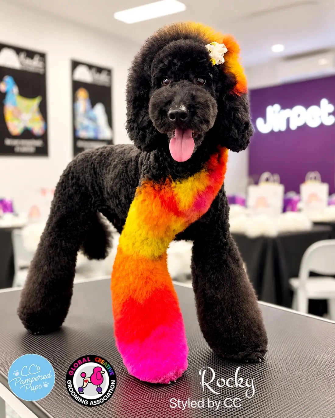 Rocky's sunset creative groom by CC