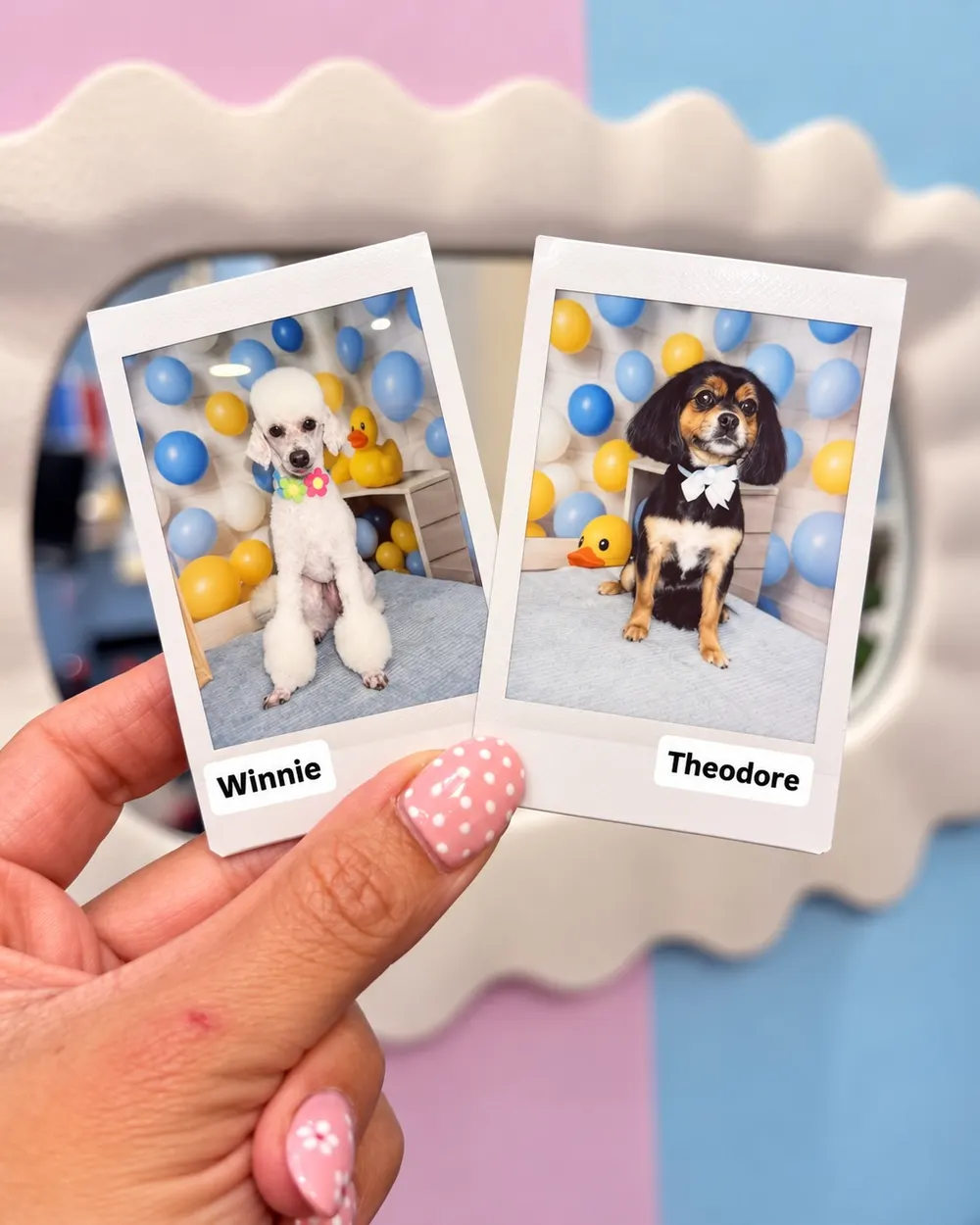 Winnie and Theodore after their pamper session